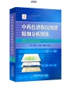 中药色谱指纹图谱精细分析图集