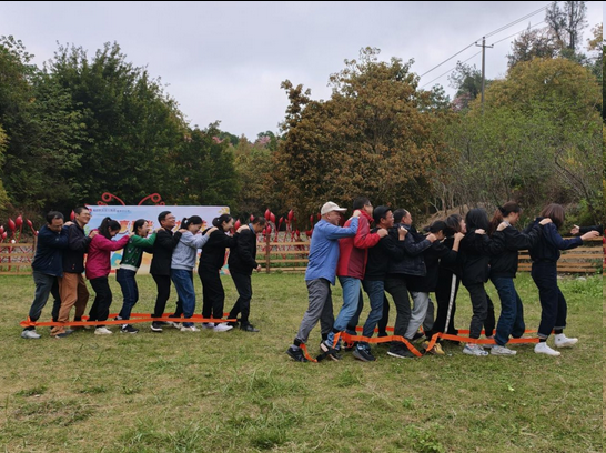 1765240930459020556.png 图片.png